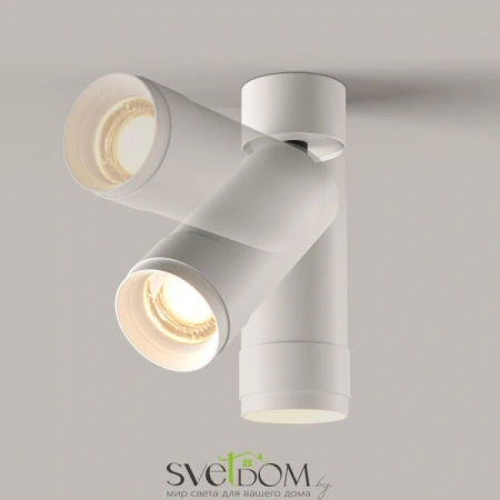 Потолочные светильники Maytoni C055CL-L12W3K-Z-W от Магазина Svetdom.by