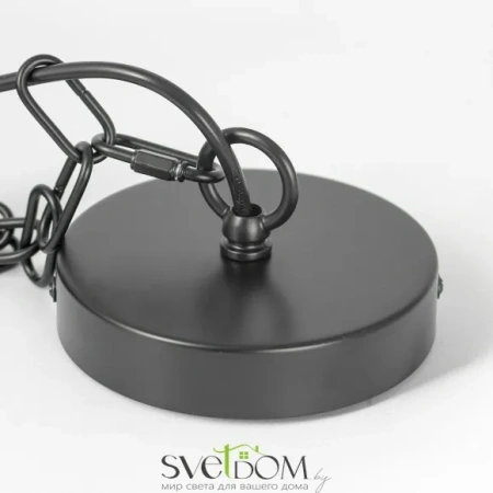 Люстра подвесная Lussole Fremont LSP-8817 E14 Lussole
