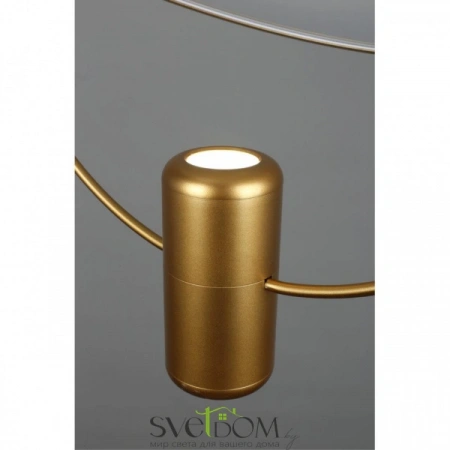 Подвесные светильники Omnilux OML-29816-02 от Магазина Svetdom.by