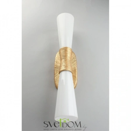 Настенные светильники APL.800.01.02 Aployt | Svetdom.by