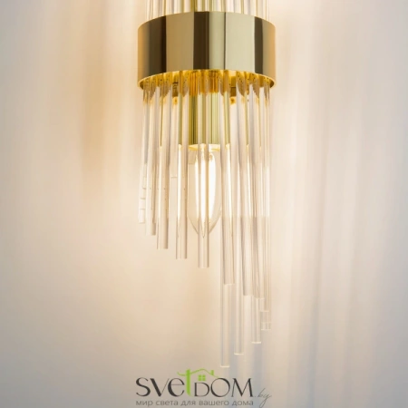 Настенные светильники MOD174WL-02G Maytoni | Svetdom.by