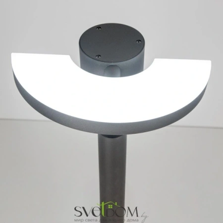 Citilux CLU03B1 LED Уличный парковый светильник поворотный Графит CITILUX