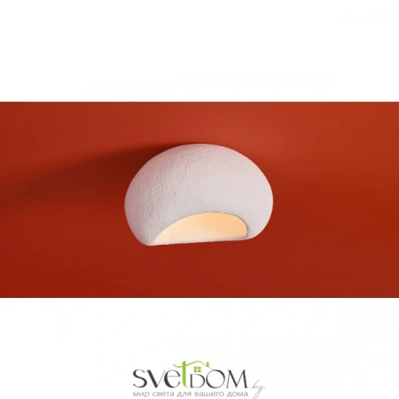 Потолочные светильники Freya FR5428CL-01W от Магазина Svetdom.by