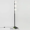 Citilux Вирта CL139932 Торшер Чёрный CITILUX