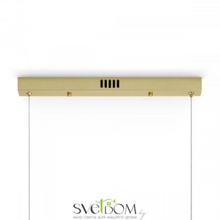 Подвесные светильники Freya FR5441PL-L40G от Магазина Svetdom.by