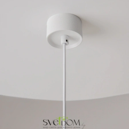 Подвесные светильники Maytoni P082PL-GU10-W от Магазина Svetdom.by