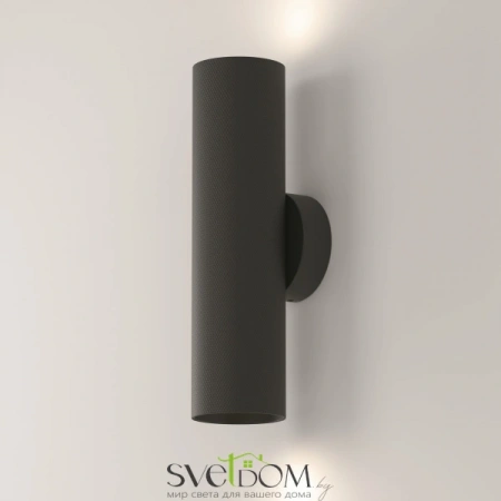 Настенные светильники C080WL-02-GU10-B Maytoni | Svetdom.by