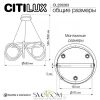 Люстры подвесныеCL220263 CITILUX | Svetdom.by