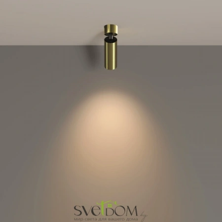 Потолочные светильники Maytoni C055CL-L12W3K-W-BS от Магазина Svetdom.by