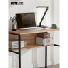 Настольная лампа Citilux Ньютон CL803081 CITILUX