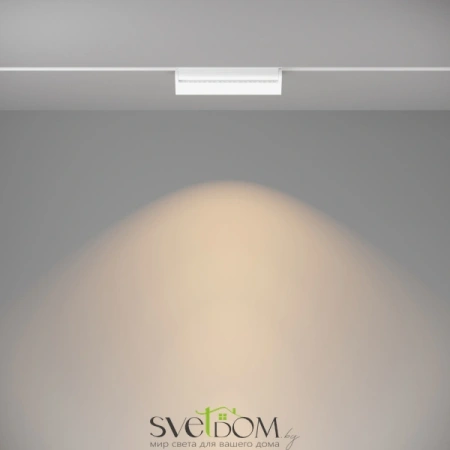 Трековый светильник TR075-2-20W3K-W Maytoni