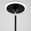 Торшер Citilux Click CL810021 CITILUX