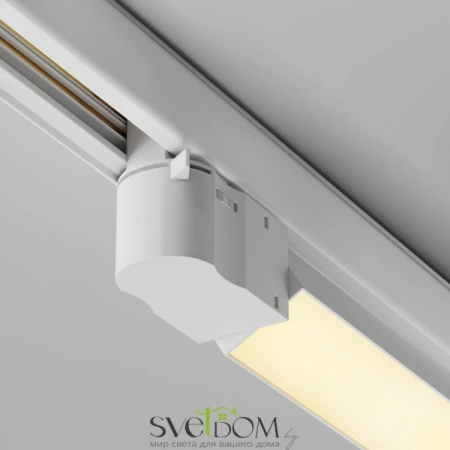 TR196-3-20W2.7K-W Maytoni