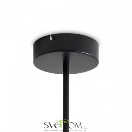 Потолочные светильники Freya FR6178CL-L30B от Магазина Svetdom.by