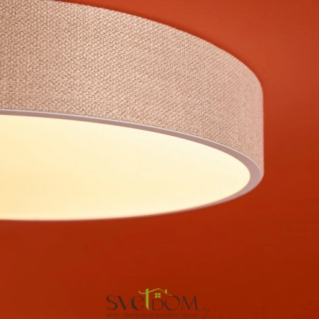 Потолочные светильники Freya FR5555CL-L30BGG от Магазина Svetdom.by