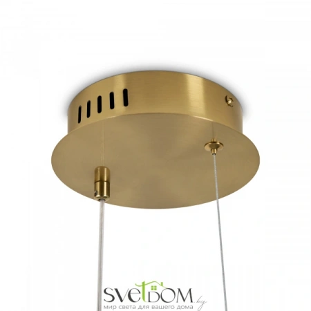 Подвесные светильники Freya FR6182PL-L14BS от Магазина Svetdom.by