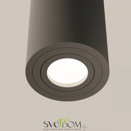 Потолочные светильники Maytoni C016CL-01B от Магазина Svetdom.by