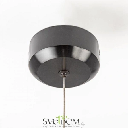 Фото Подвесные светильники CITILUX CL227011 Подвесные светильники CITILUX CL227011 от Магазина Svetdom.by