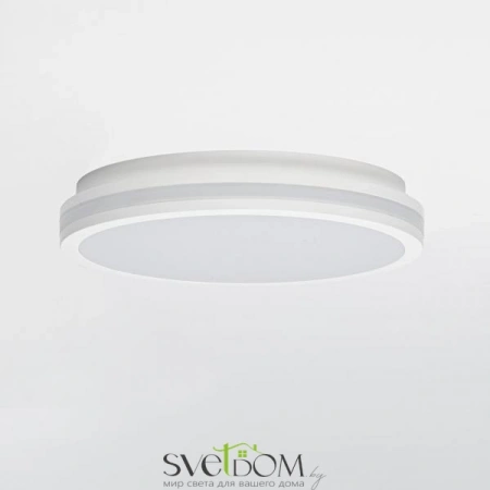 Накладные светильники CITILUX CL711020V от Магазина Svetdom.by