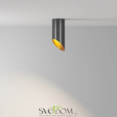 Потолочный светильник Technical C044CL-01-15GU10-B Maytoni