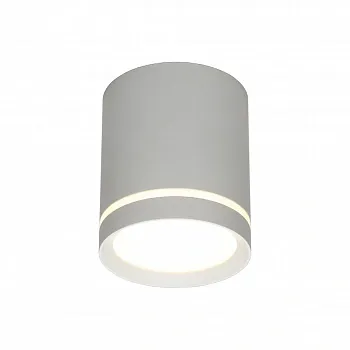 Светильник настенно-потолочный Omnilux  OML-102429-05