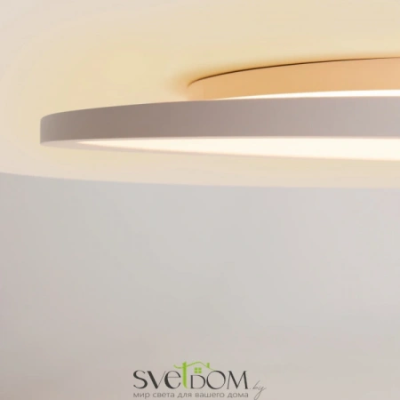 Потолочные светильники Maytoni MOD426CL-L74WK от Магазина Svetdom.by