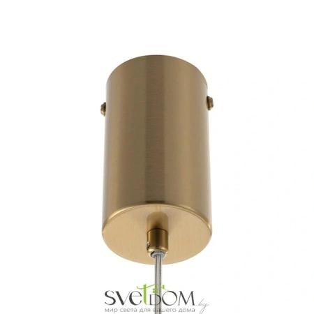 CITILUX CL254410 FERNET Подвес CITILUX