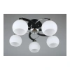 Люстра потолочная Omnilux  OML-25407-05 Omnilux