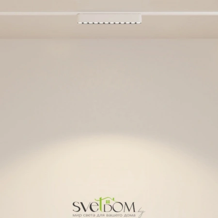 TR082-1-12W3K-M-W Maytoni