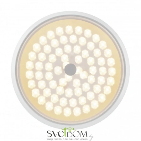 Фото Светильники Freya FR10012CL-L24W Светильники Freya FR10012CL-L24W от Магазина Svetdom.by