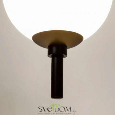 Подвесные светильники Maytoni Z020PL-L6B3K от Магазина Svetdom.by