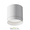 Потолочный светильник Technical C088CL-GX53-W Maytoni