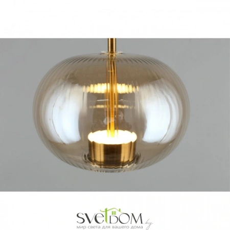 Подвесные светильники Aployt APL.057.06.12 от Магазина Svetdom.by