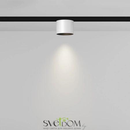 TR188-1-5W4K-M-BW Maytoni