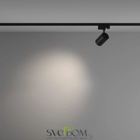 TR029-3-10W4K-M-B Maytoni