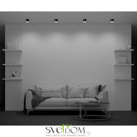 Потолочные светильники Maytoni C096CL-GX53-B от Магазина Svetdom.by