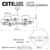 Люстры на штангеCL421272 CITILUX | Svetdom.by