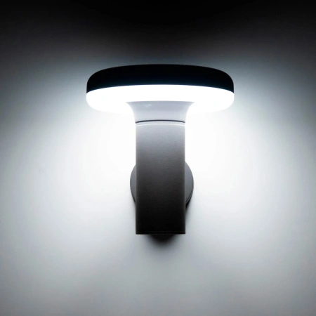 Уличный настенный светильник Citilux GARDA CLU01W CITILUX