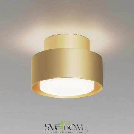 Потолочные светильники Maytoni C092CL-GX53-MG от Магазина Svetdom.by