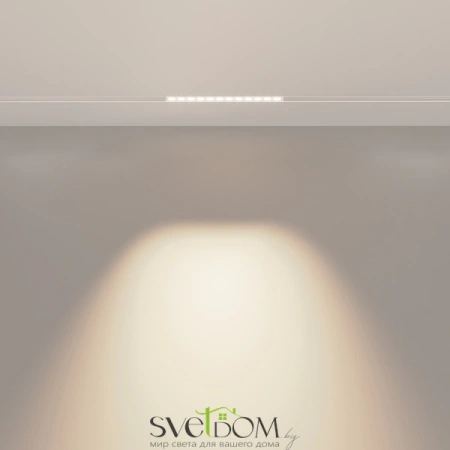 Трековый светильник Technical TR031-2-12W4K-W Maytoni