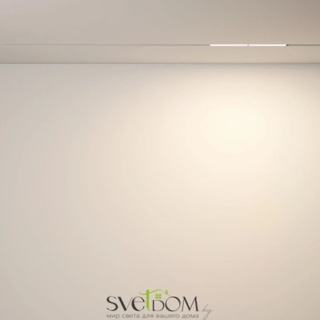 TR106-2-12W3K-W Maytoni