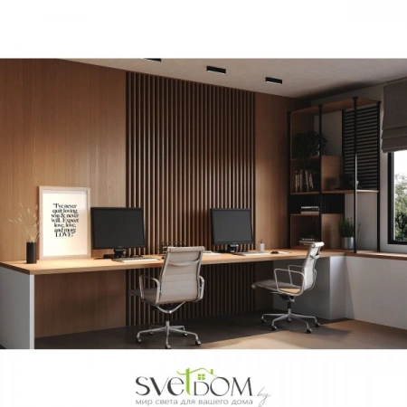 Потолочные светильники Maytoni C066CL-12W3-6K-B от Магазина Svetdom.by