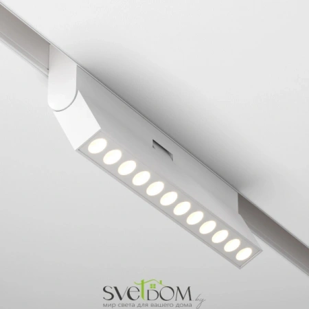 TR033-2-12W4K-W Maytoni