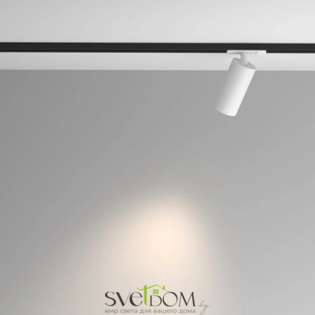 TR089-1-GU10-WW Maytoni