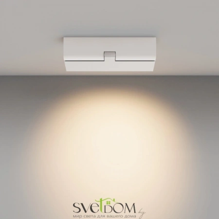 Потолочные светильники Maytoni C136CL-12W3K-W от Магазина Svetdom.by