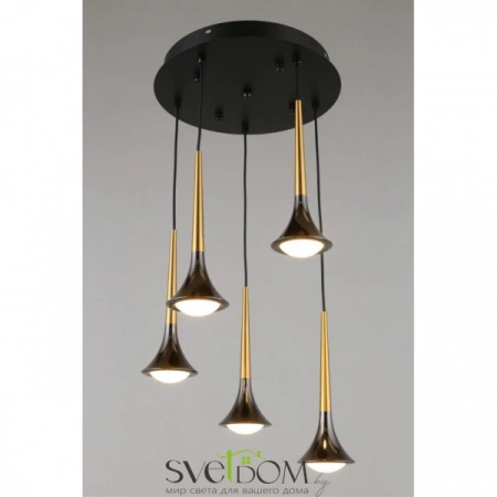 Люстры подвесныеAPL.784.06.05 Aployt | Svetdom.by