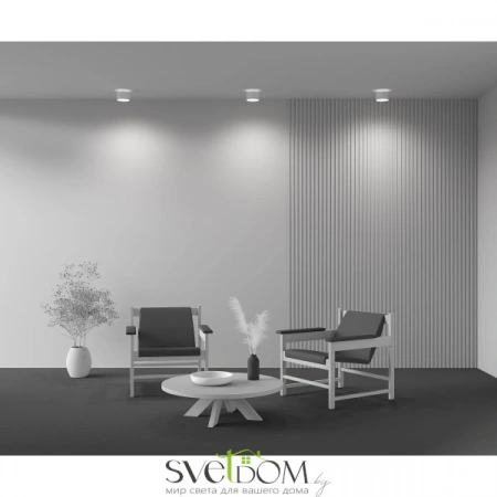 Потолочные светильники Maytoni C009CW-L16W от Магазина Svetdom.by