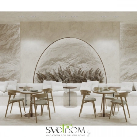 Встраиваемые светильники Maytoni DL003-02-W от Магазина Svetdom.by