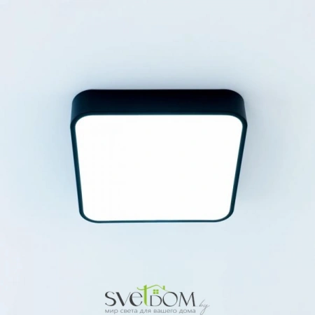 Потолочные светильники CITILUX CL724K24V1 от Магазина Svetdom.by