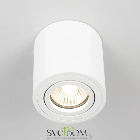 Citilux Дюрен CL538111 Светильник накладной поворотный Белый CITILUX